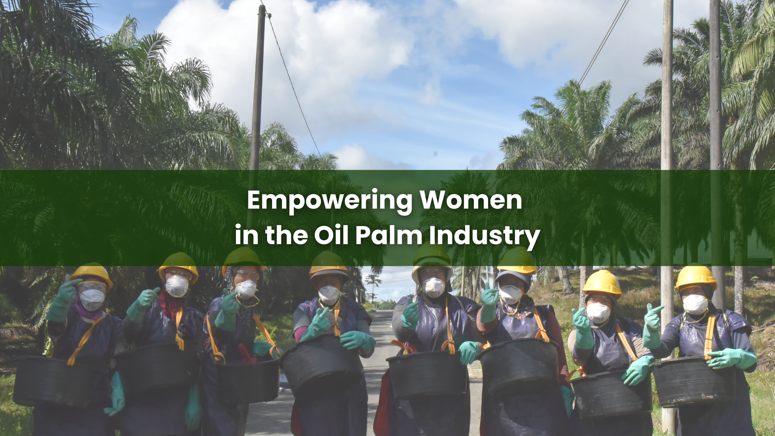 The women in the oil palm industry