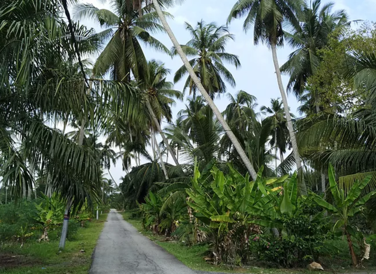  Tucked away behind a stretch of industrial and commercial areas, just off a major highway, lies a small village that is a living testimony to the early days of development in Malaysia. 